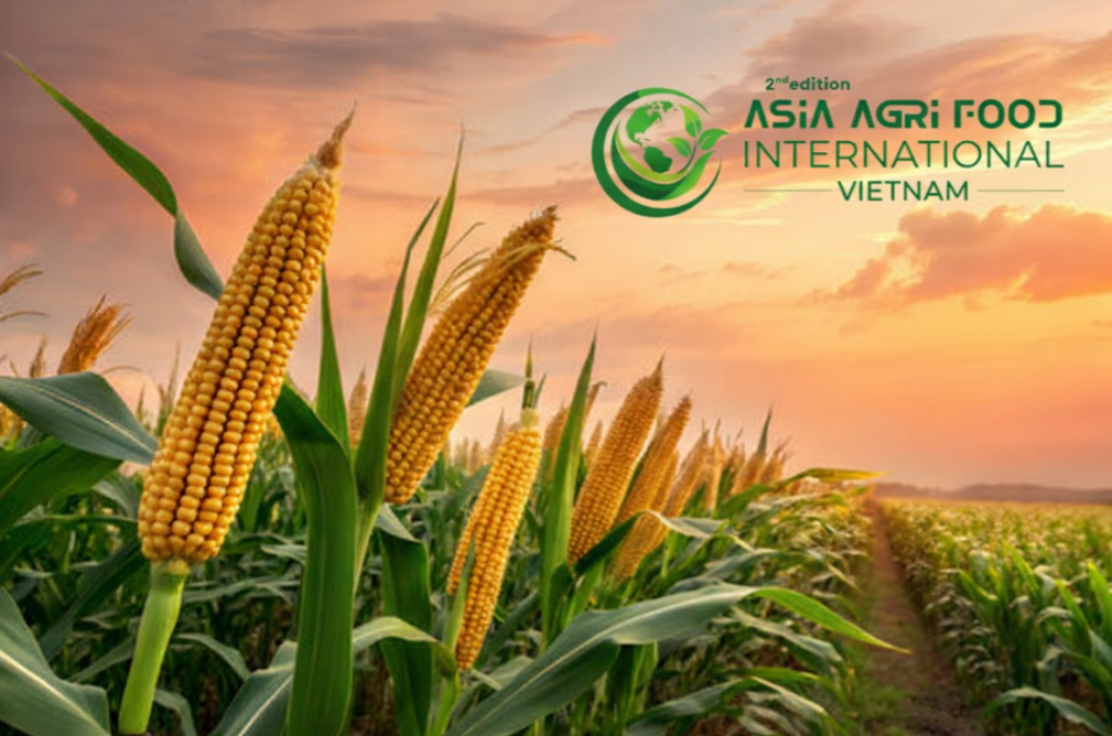 www.asiaagrifood.com - 📊 Weekly Grain Movement: Corn Tops Expectations Again