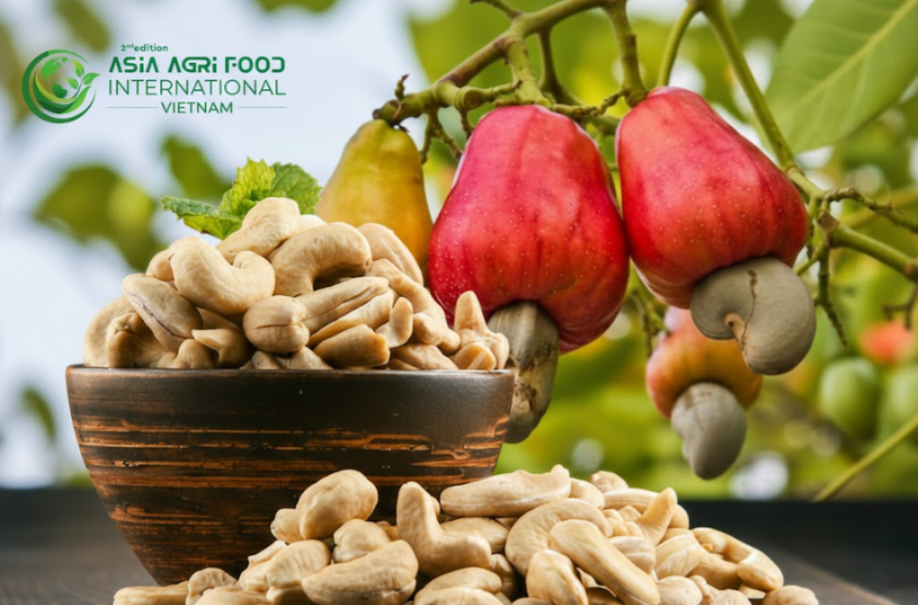 www.asiaagrifood.com -📈🥜 Philippines Cashew Production Forecast to Rise Steadily Through 2028