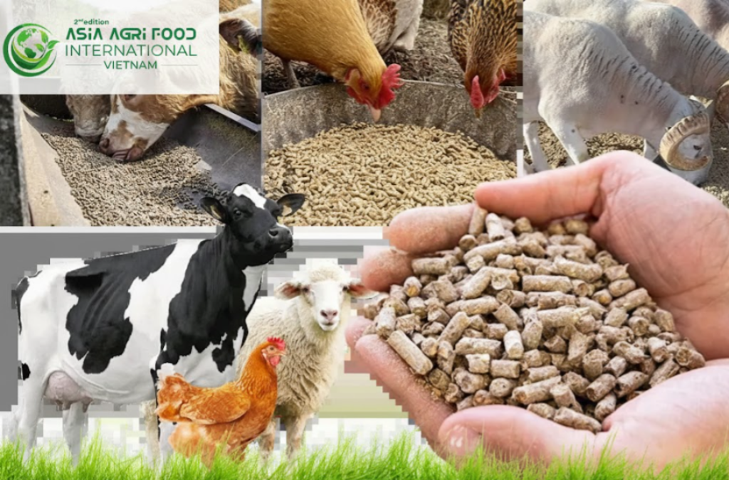 www.asiaagrifood.com - 📊🐓 Thailand Compound Feed Market: Size, Share & Growth Trends Forecast 2026–2031
