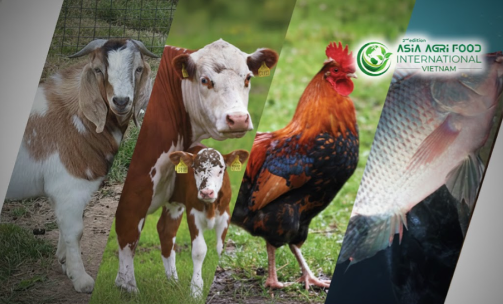 📊 Vietnam Compound Feed Market: Size, Share & Growth Trends Forecast (2026‑2031) 🌾🐄 - www.asiaagrifood.com