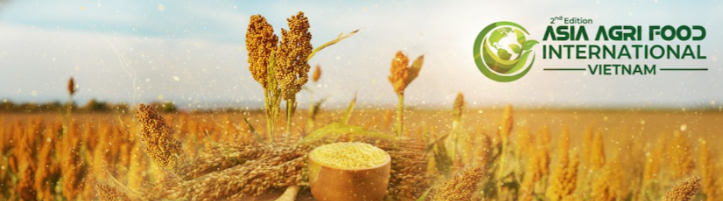 🌾 Vietnam Millet Flour Market (2025–2031) | Trends, Growth, Revenue Insights & Competitive Landscape 📈🥣 - www.asiaagrifood.com