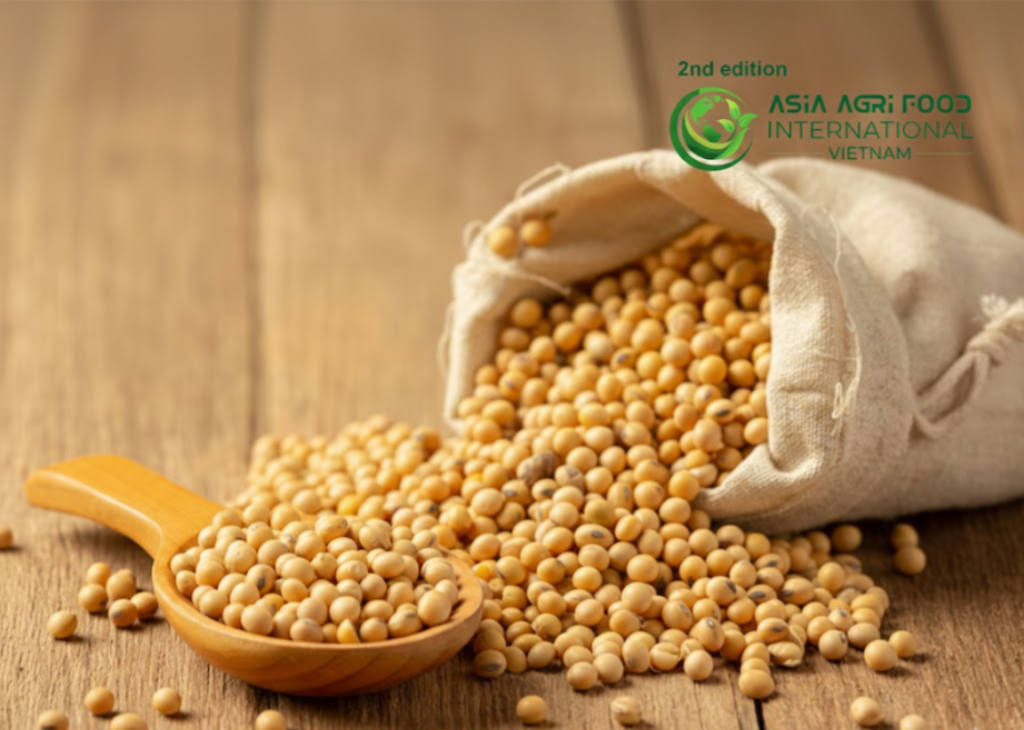 📊 Thailand Soybean Meal Market Outlook 2025–2031: Growth Analysis, Forecast, Revenue Trends & Industry Insights - www.asiaagrifood.com