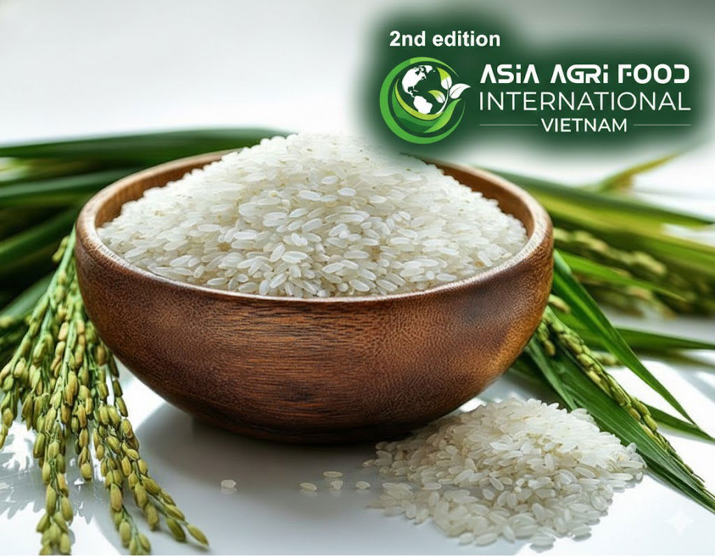 Asia’s Rice Export Prices Firm Up 🌾📈, Demand Remains Patchy 🌍 -  www.asiaagrifood.com