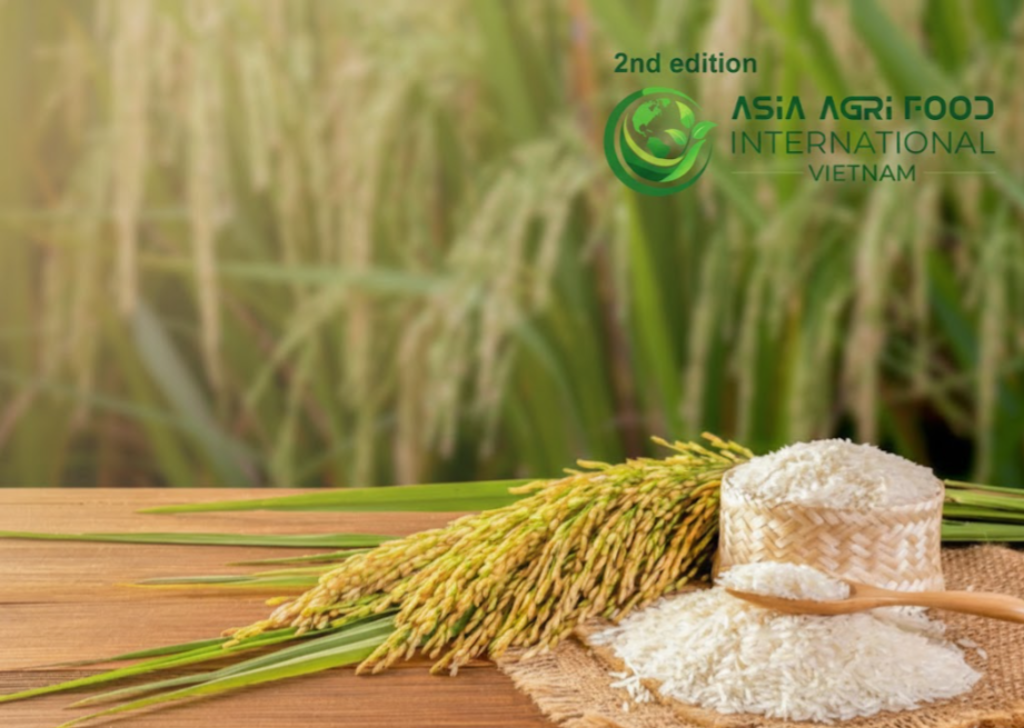 Rice Sector Restructuring Needs Strong State–Enterprise–Bank Partnership 🌾🤝🏦 - www.asiaagrifood.com