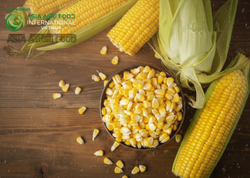 🇨🇳🌱 China Leads Asia in Slow Adoption of Genetically Modified Crops - www.asiaagrifood.com