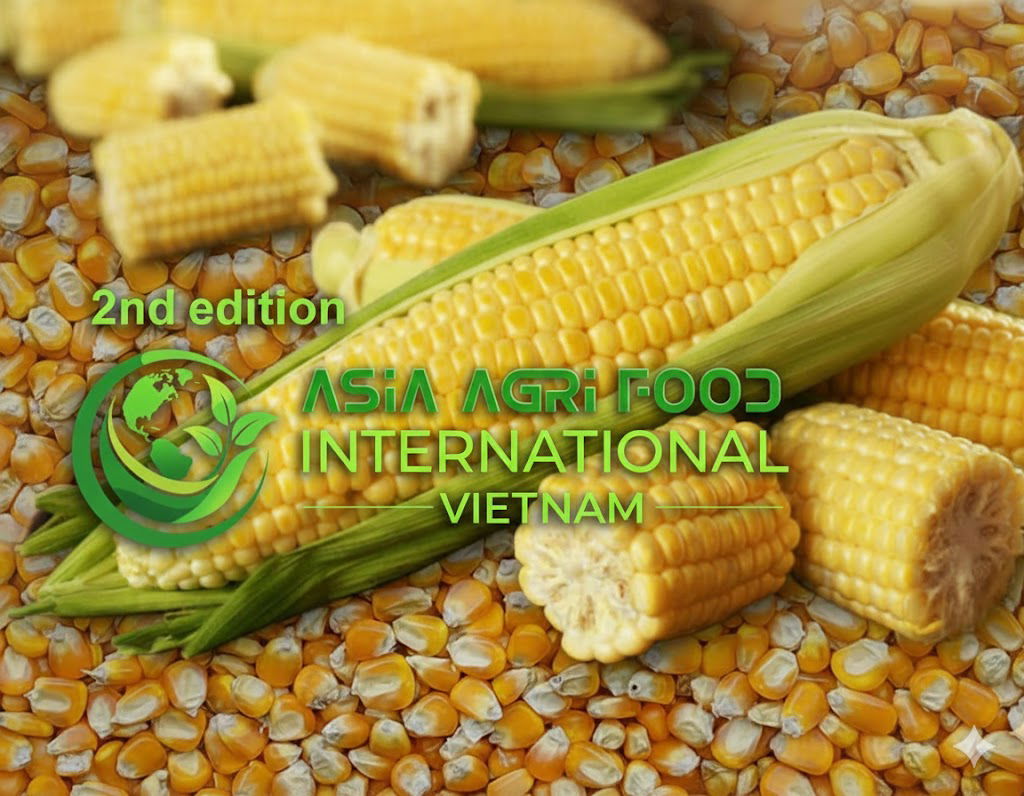 🌽💼 South Korea’s KFA Bags 65,000 Tonnes of Corn in Major Trade Deal Market Insights 🇰🇷 - www.asiaagrifood.com