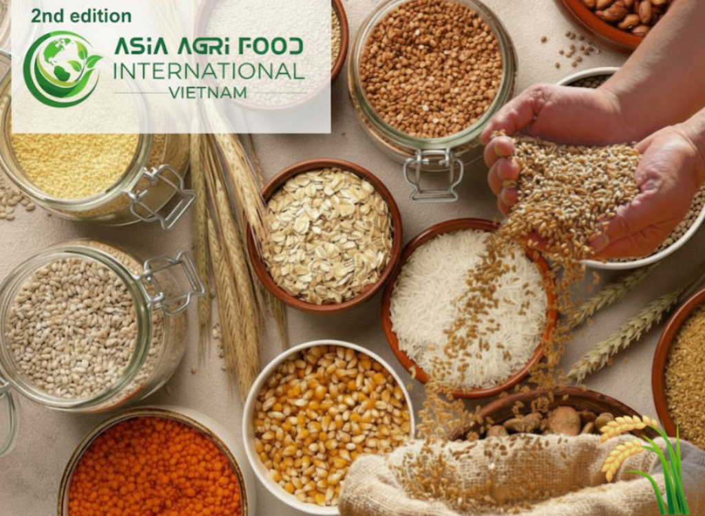 🌾 Food Grain Imports Jump 42% in First Half of FY26 📈 www.asiaagrifood.com