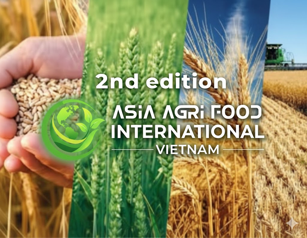 Big Turnaround for Russian Crops as Conditions Improve, Boosting Harvest Outlook 🌾✨ www.asiaagrifood.com