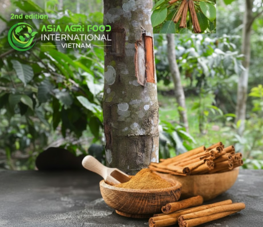 🌿 Vietnam’s Cinnamon Exports Hit US$22.4 Million in January 2026, with India & the U.S. Leading Demand 🇻🇳📈 www.asiaagrifood.com