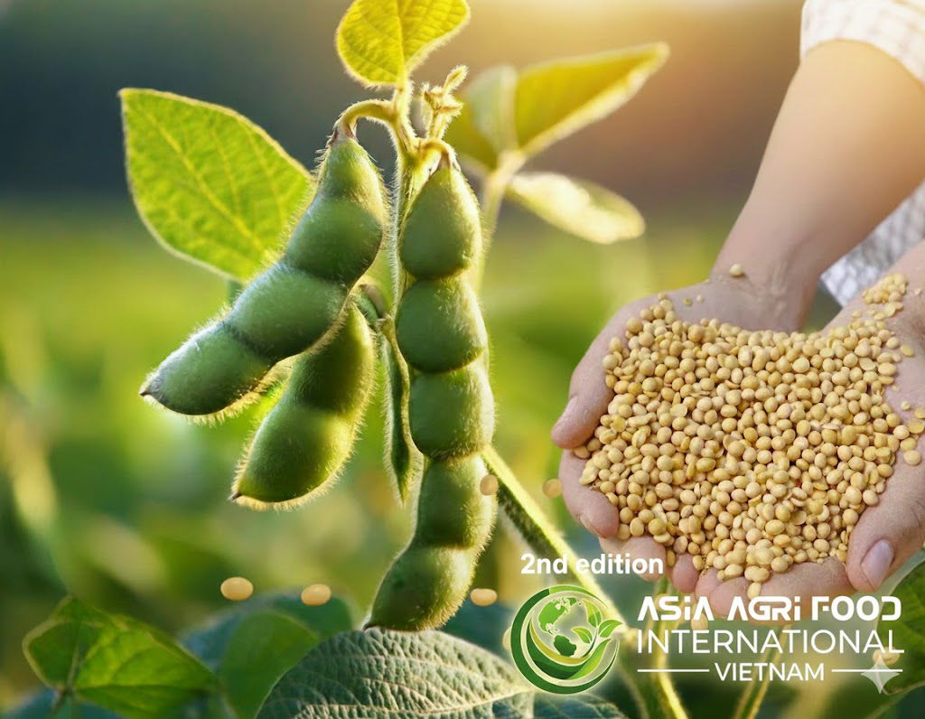 1️⃣ Soybeans Surge 📈 on Fresh China Export Promises 🇨🇳 Despite Record Brazilian Supply 🌱🇧🇷 www.asiaagrifood.com
