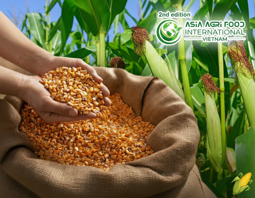 Asia’s Maize Market Analysis & Growth Forecast: Trends Shaping the Future 🌽📈 www.asiaagrifood.com