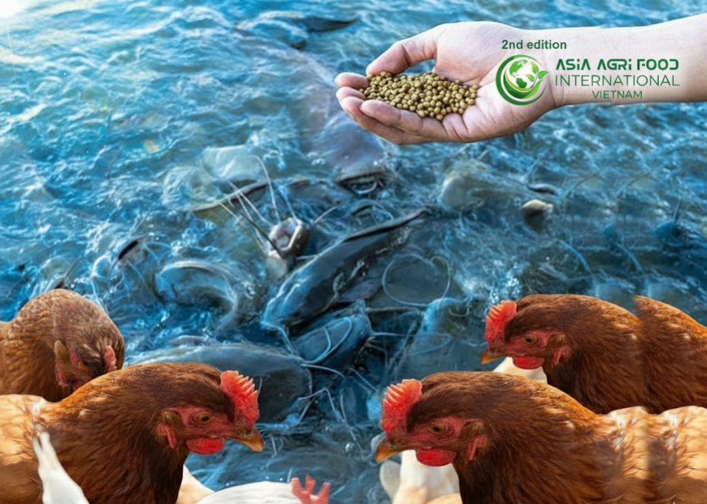 📰🌱🚢 COFCO SHIPS FIRST CERTIFIED SOY TO VIETNAM 🇻🇳 BOOSTING POULTRY & AQUAFEED 🐔🐟 www.asiaagrifood.com