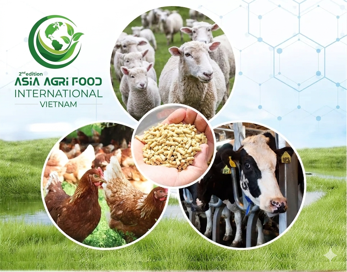 🌏📈 SOUTHEAST ASIA DDGS MARKET SURGES: ~$3–4 BILLION VALUE 🚀🐄🐟 www.asiaagrifood.com