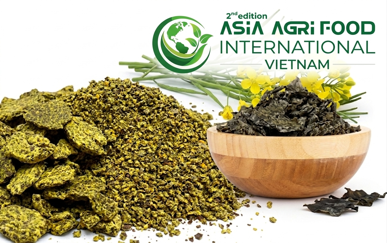 📈🌍 Global Rapeseed Meal Market Set for Steady Growth at ~6–6.5% CAGR Through 2030–2035 - www.asiaagrifood.com