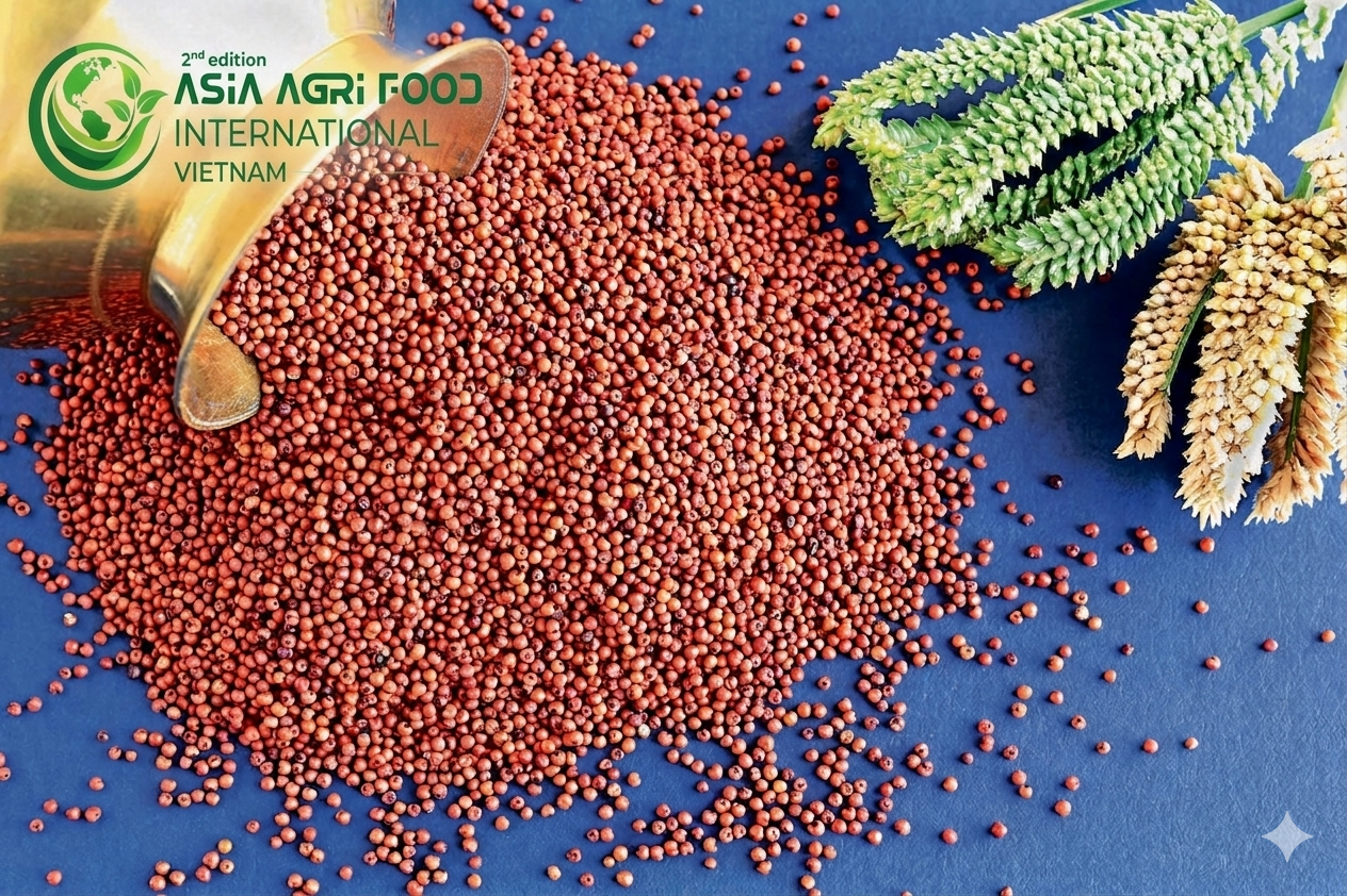 🚀 SOUTHEAST ASIA MILLET MARKET ON THE RISE 🌾📈💹 GROWTH RATE: ~5.1% CAGR - www.asiaagrifood.com