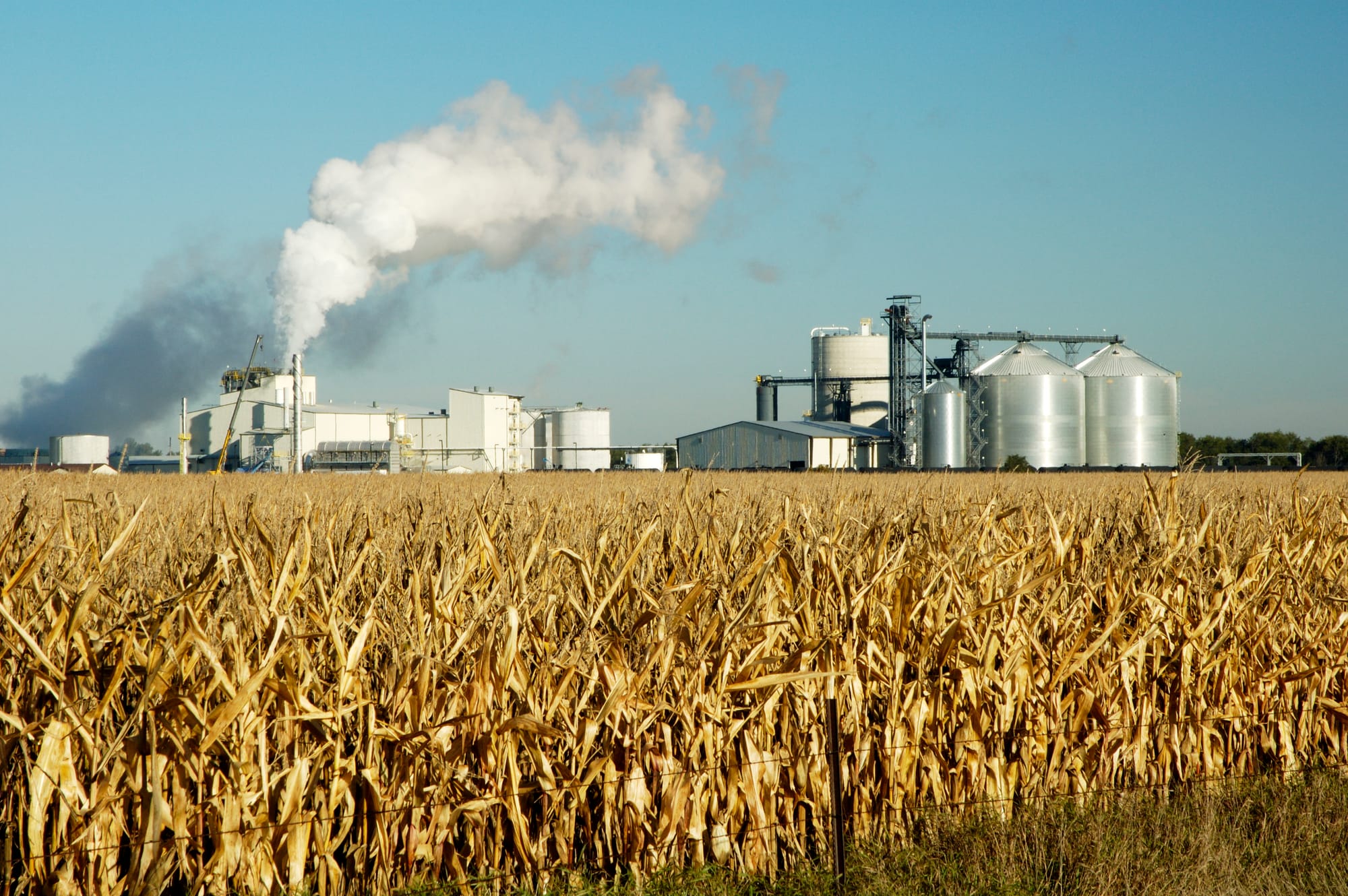 From shortage to surplus, India pours record rice crop into ethanol