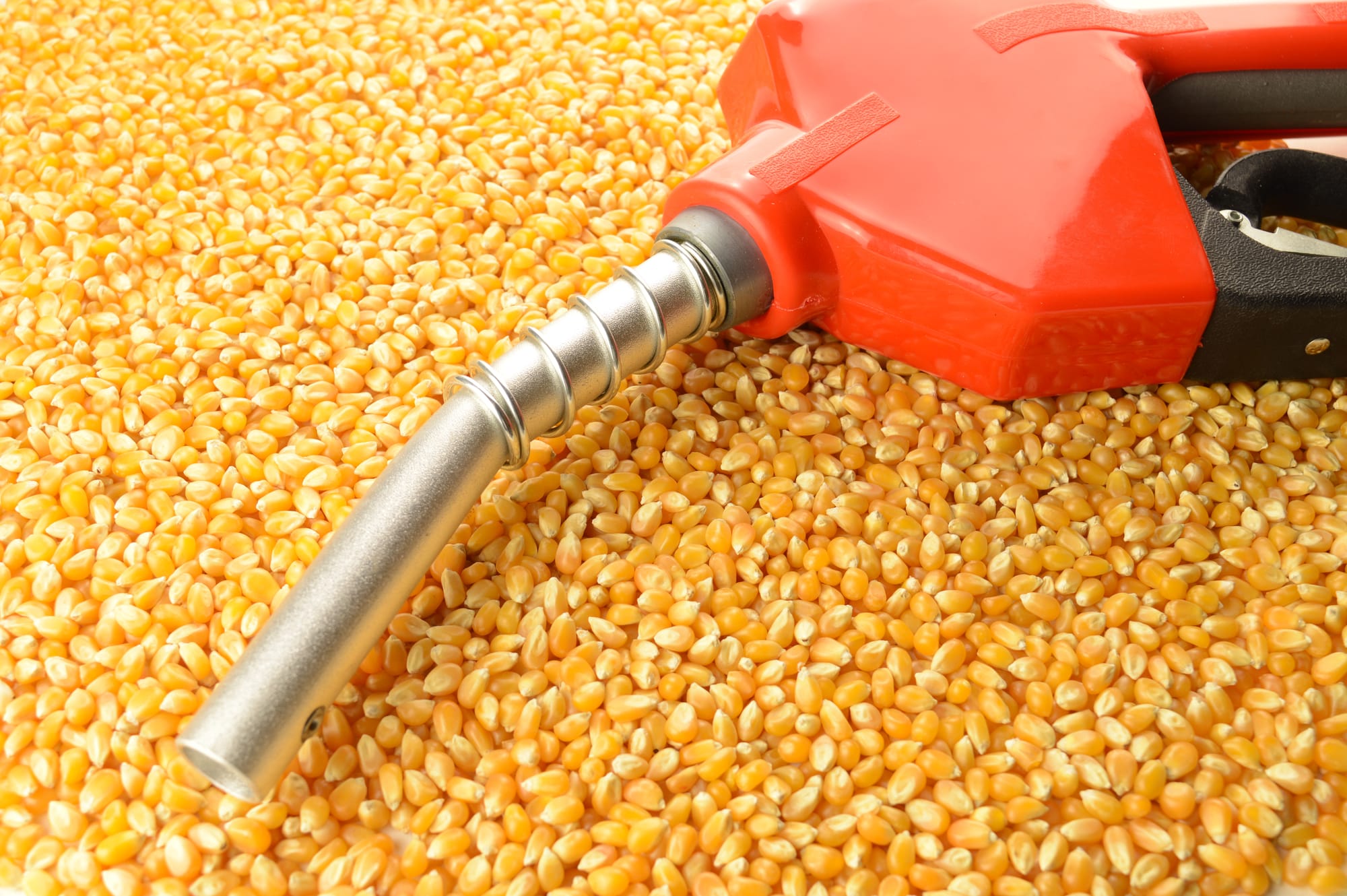 “Maize production must grow at 8-9 per cent annually to support India’s ethanol blending target of E30”