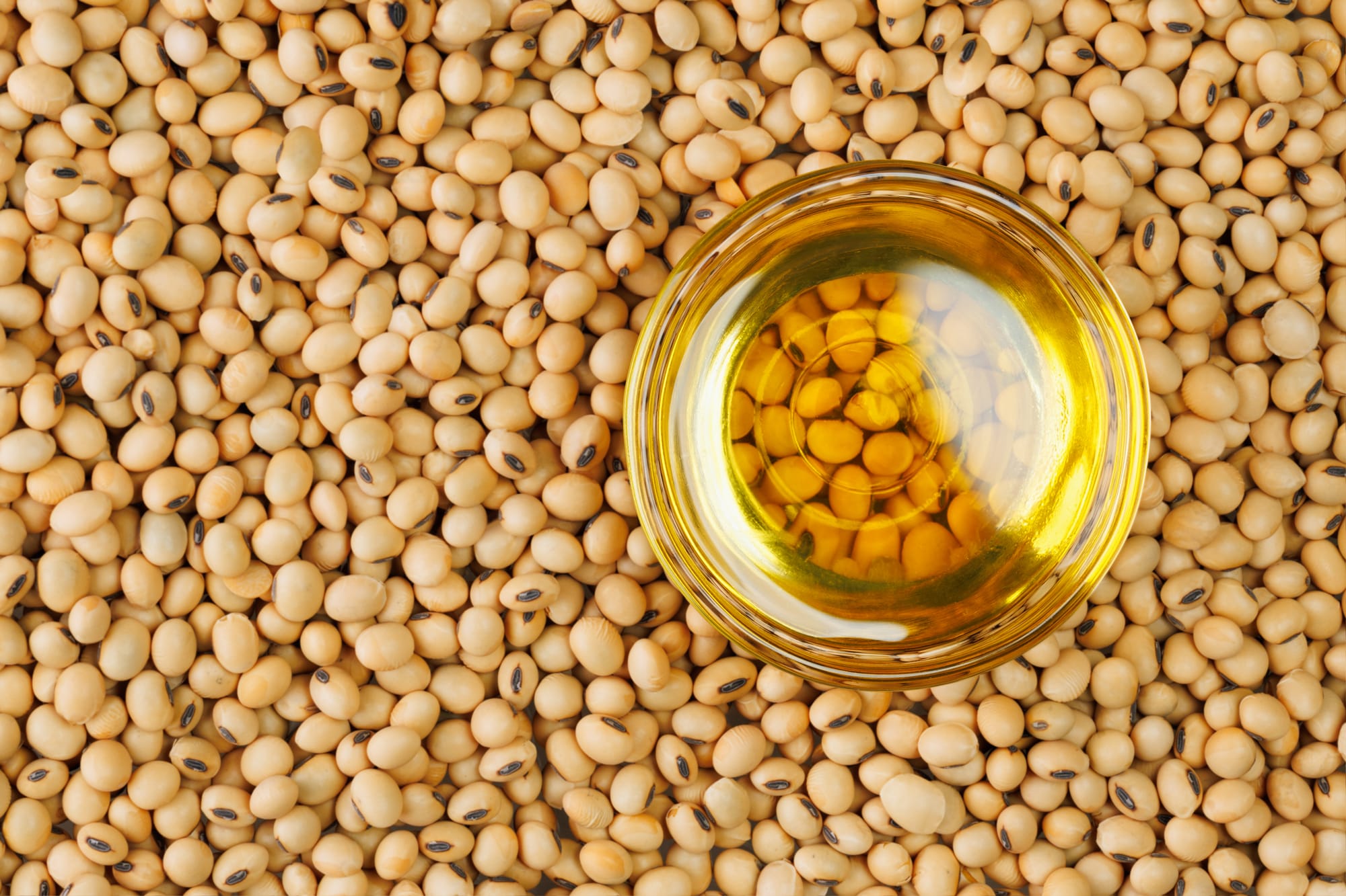 🌱🚀 SOUTHEAST ASIA SOYBEAN MARKET TO GROW 4%–6% IN 2026 📈🌏 www.asiaagrifood.com