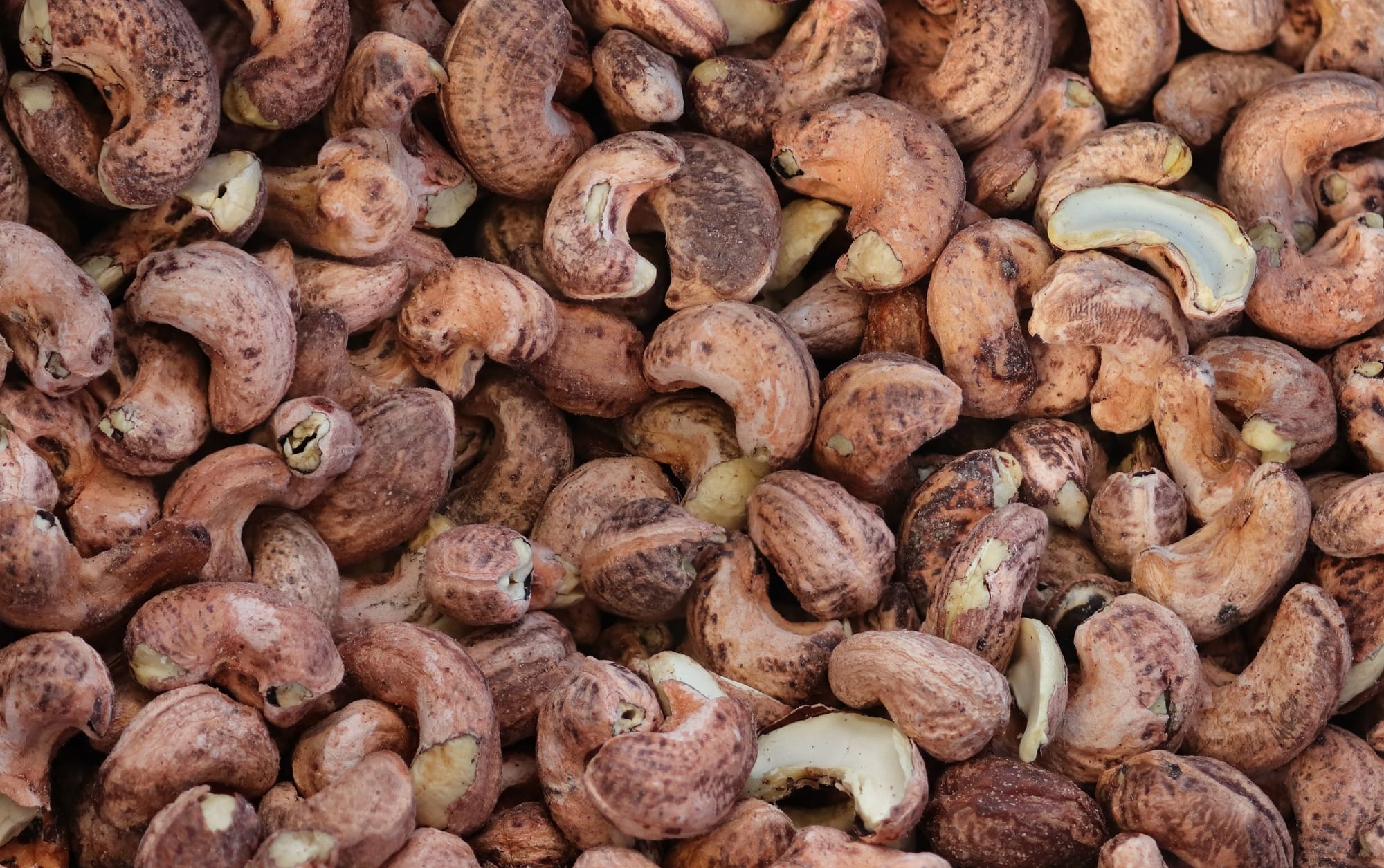 🚀 The cashew market in Southeast Asia is to grow at strong CAGR of 5.5% through 2033, with 2026 expected cashew products! 💹✨ www.asiaagrifood.com