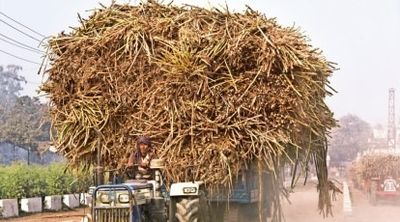 Take note of drop in sugar recovery, assn. writes to govt amid SAP increase buzz