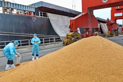 China has temporarily halted soybean shipments from five Brazilian companies due to phytosanitary concerns, including chemical contamination, pests, and insects.