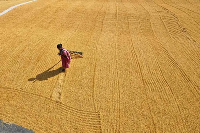 Can gram swaraj solve India’s agricultural and water crises?