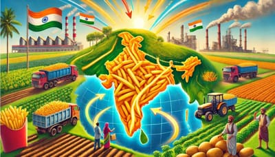 From Importer to Exporter: How India Took Over the French Fries Market