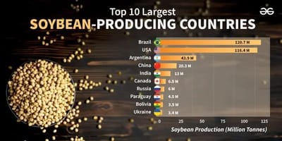 Global soybean production is slightly reduced to a record 424.3 million tons
