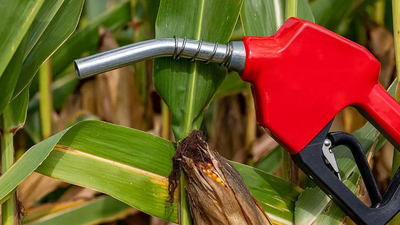 ISMA urges Government to consider raising rates of ethanol from sugarcane juice and BHM