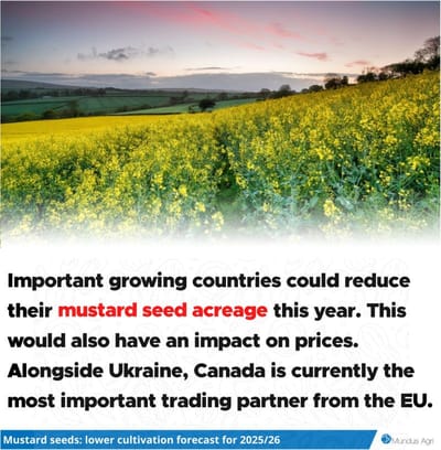 Mustard seeds: According to the experts at Rayglen Commodities,