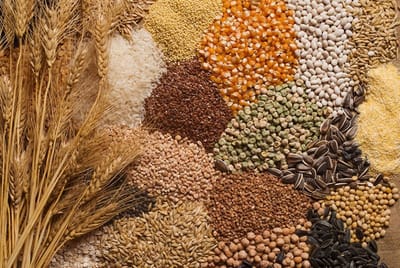 The Future of India’s Seed Industry: A Growth-Driven 2025!