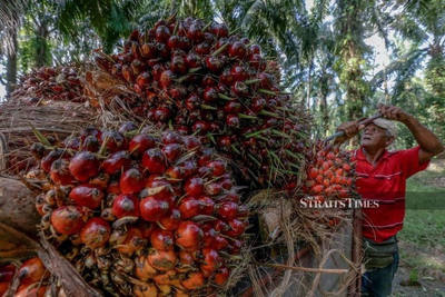 Malaysian palm oil futures reversed early losses to end higher on Friday