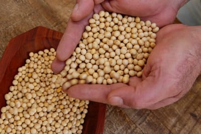 COFCO signs sustainable soybean trade deal