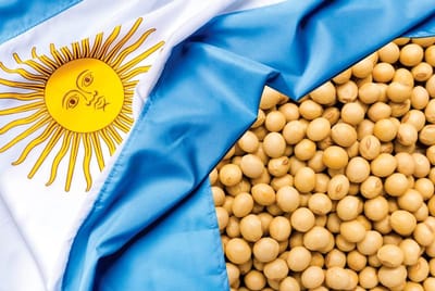 Drought in Argentina reduces soybean and corn harvest potential