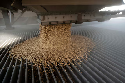 US grain, oilseed exports surge in 2024 without boost from China -Braun