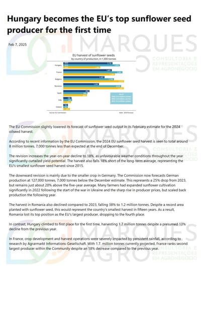 HUNGARY BECOMES THE EU'S TOP SUNFLOWER PRODUCER FOR THE FIRST TIME