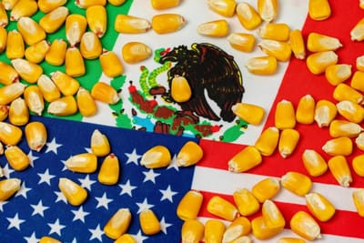 Mexico officially repeals biotech corn imports ban