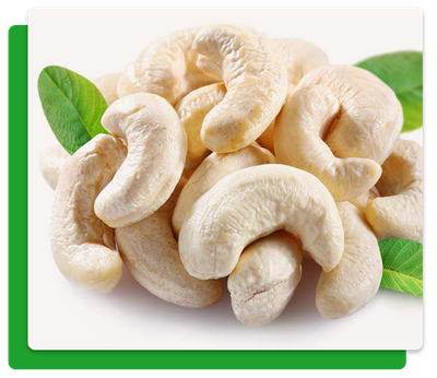 Kerala Budget evokes mixed response from cashew sector