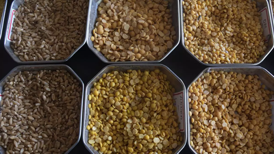 Decentralizing food grain logistics – A cooperative way