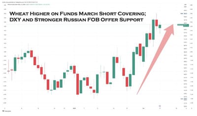 Russia & Global grain market