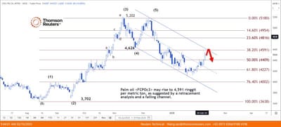 VEGOILS-Palm rises on strong Dalian oils; MPOB data and export estimates in focus