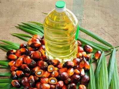 Palm oil: India key to future prices