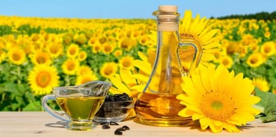 Sunflower prices continue to rise in Ukraine, but vegetable oil markets have seen a drop in prices