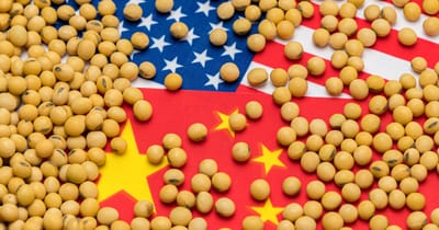 How China's retaliatory soybean tariff impacts the US economy