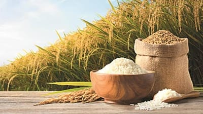India Exports 7.95 Lakh Tonnes of Broken Rice for Ethanol Production Till March 25 of FY25