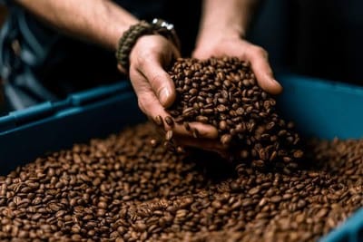 Sweden’s Fika Culture Faces Jolt as Coffee Prices Soar 40% Amid Climate and Supply Woes