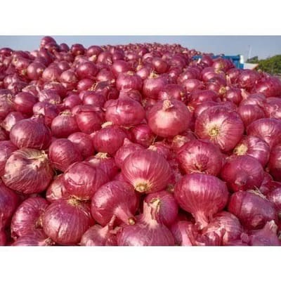 Onion Prices Surge Tenfold in Uzbekistan Amid Shrinking Farmlands and Supply Shortages