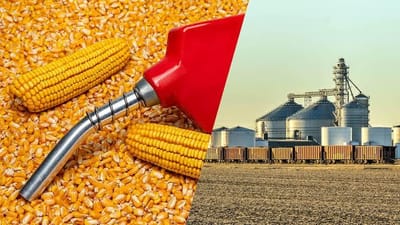 Brazil’s Ethanol Boom Reshapes Global Corn Market