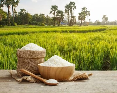 Indonesia Declines Malaysia’s Rice Import Request to Safeguard Domestic Reserves