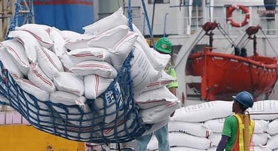 Japan to Boost Rice Imports Twentyfold, Led by U.S. Grain Amid Soaring Domestic Prices
